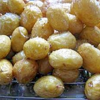 05qcgciopqxdtm 05qcgciopqxdtm